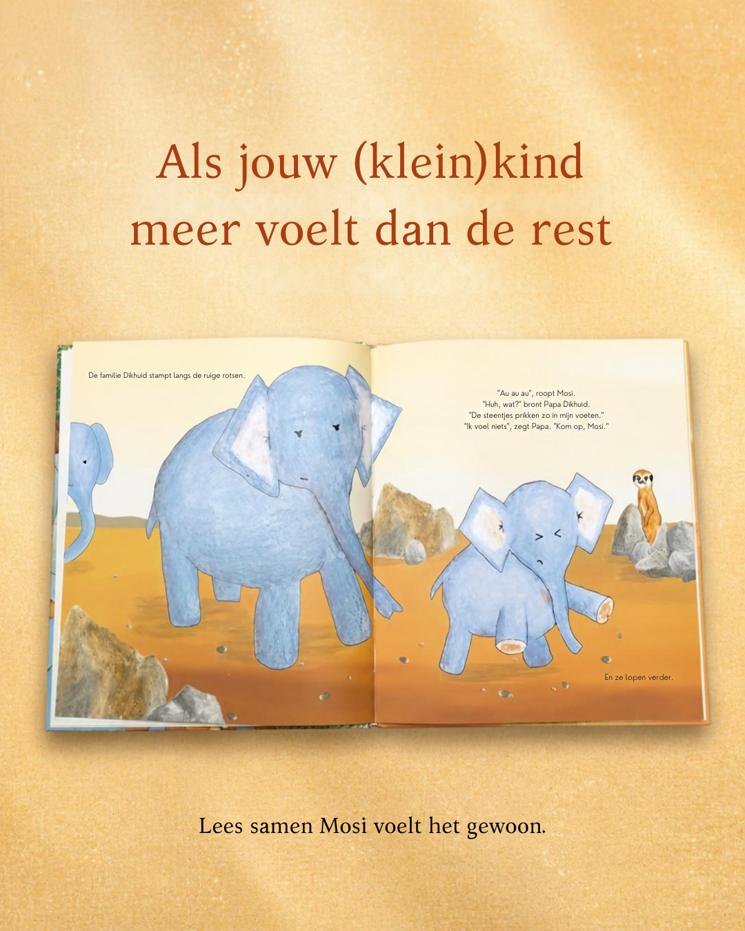 Mosi voelt het gewoon + kaart