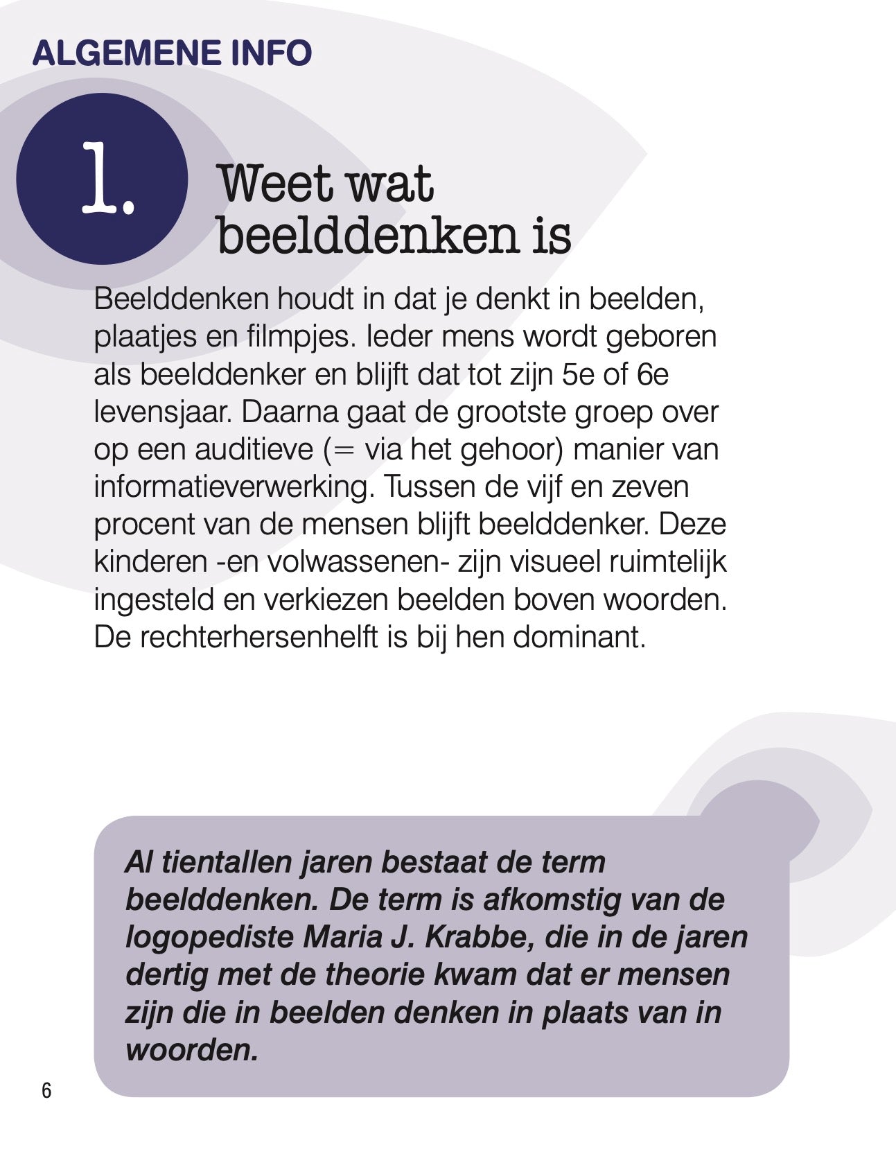 De gids over beelddenkende kids