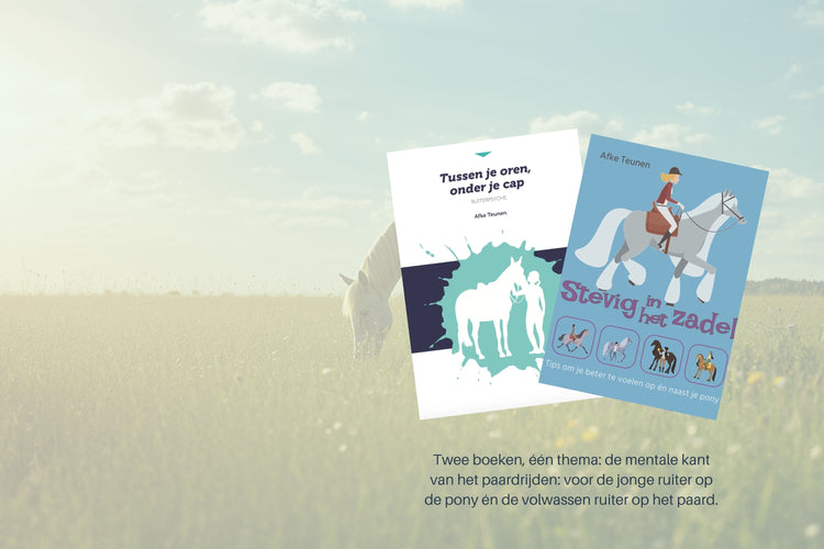 Ruiterboeken