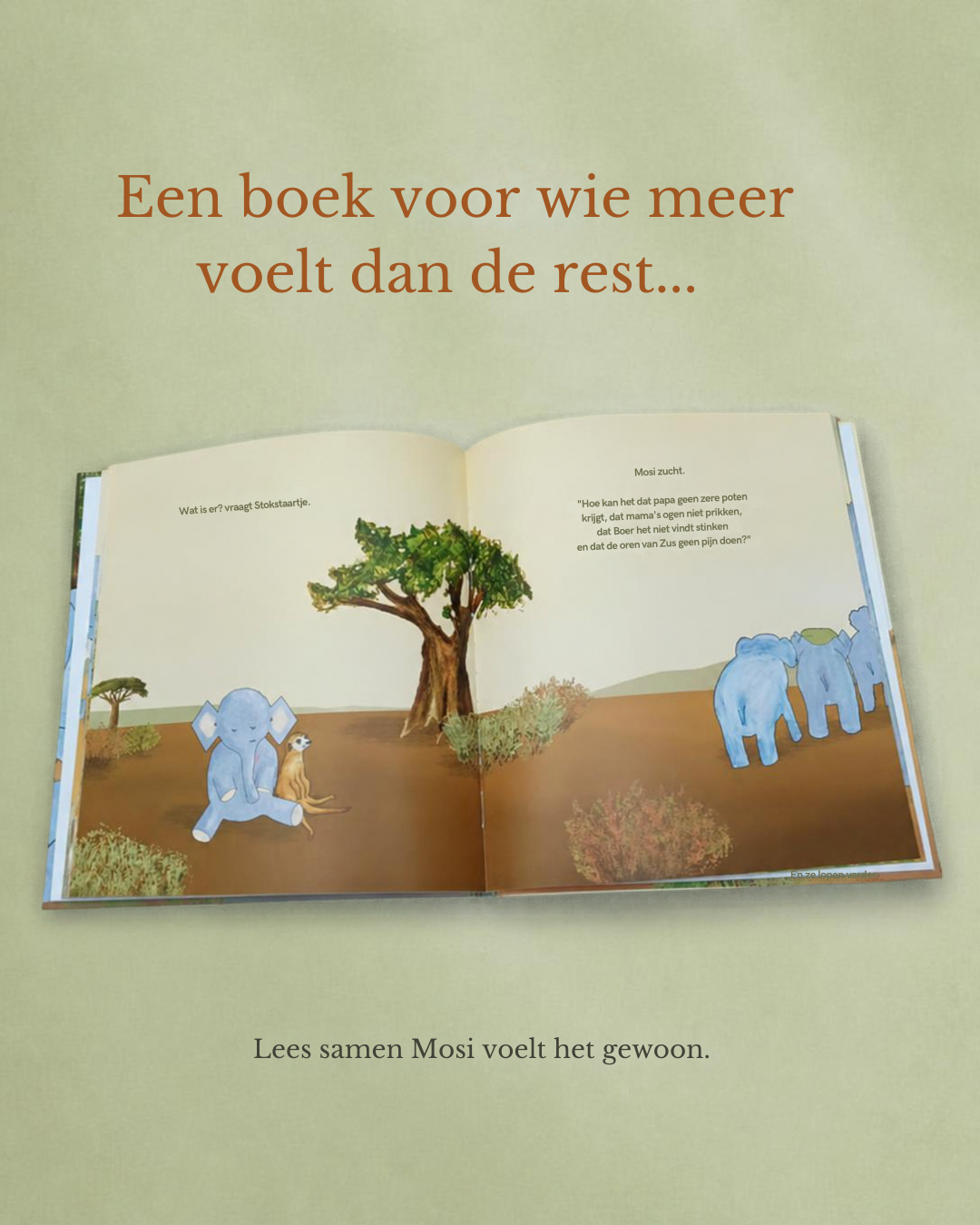 Mosi voelt het gewoon + kaart